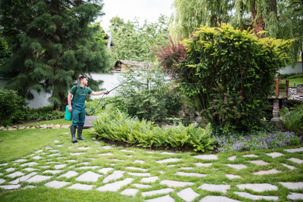 Best Emergency Pest Control  in Maplewood, MN