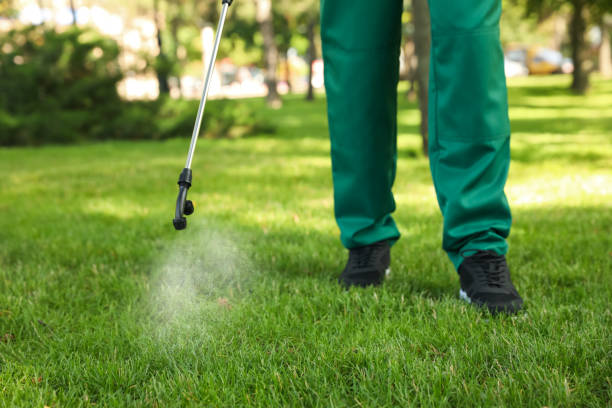 Best Affordable Pest Control Services  in Maplewood, MN