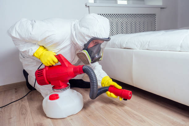 Best Mosquito Control Services  in Maplewood, MN