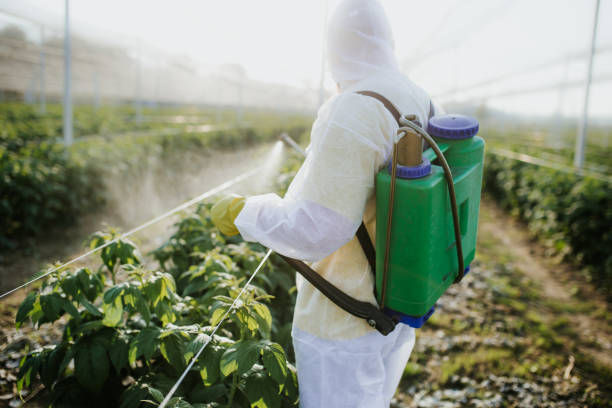Best Affordable Pest Control Services  in Maplewood, MN